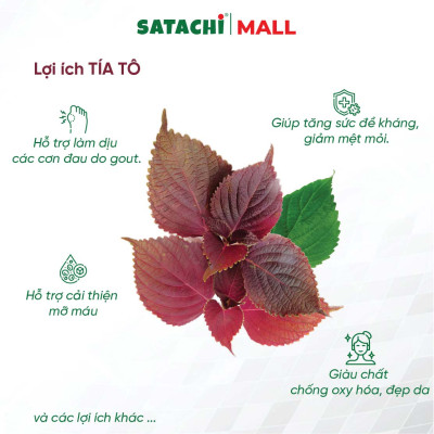 Viên Bột Tía Tô Nguyên Chất SATACHI – 100% Lá Tía Tô – Dạng Viên Tiện Lợi – Hộp 180 viên