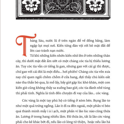 Con Rùa Đội Vẹt