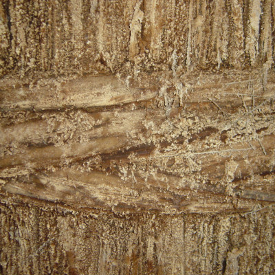 NƯỚC SỐT PONZU NHẬT BẢN CAO CẤP YAMAROKU 500ML/ JAPANESE YAMAROKU PONZU PREMIUM SAUCE 500ML