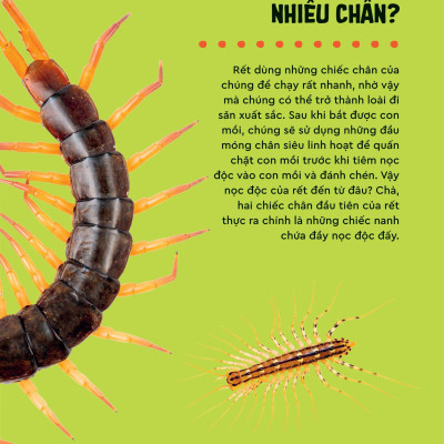 Bách Khoa Thư Britannica Dành Cho Trẻ Em - Cuốn Sách Khổng Lồ Giải Đáp 100++ Câu Hỏi Tại Sao Hóc Búa