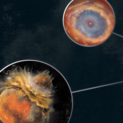 Vòng Đời - Life Cycles