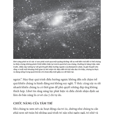 Tâm Lý Học Toàn Thư - Bộ Não Và Tâm Trí