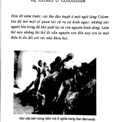 Bí Ẩn Mãi Mãi Là Bí Ẩn 02 (Tái Bản 2022)