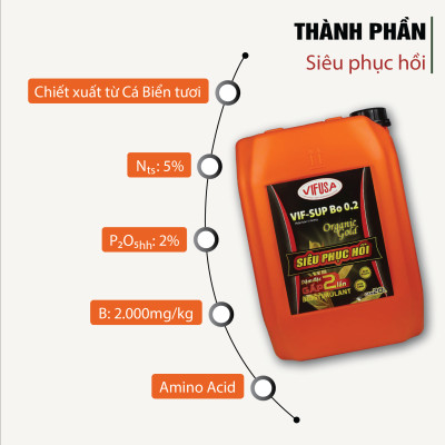 VIF-SUP Bo 0.2 - Phân bón Siêu phục hồi can 20L