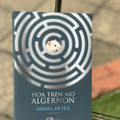 [giải NEBULA AWARD] HOA TRÊN MỘ ALGERNON - Daniel Keyes - Nhã Nam (tái bản 2022) (bìa mềm)