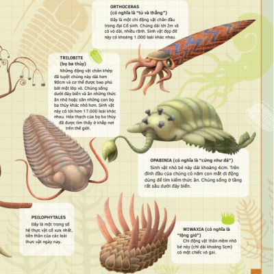 Sách thiếu nhi - Theo Dòng Thời Gian - Thời Tiền Sử (Bìa cứng)