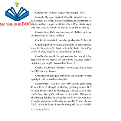 Sách - Việt Nam phong tục (bìa cứng) - tái bản