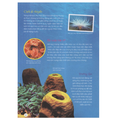 Động Vật Xinh Đẹp (HH)