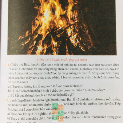 Sách - Bồi dưỡng học sinh giỏi Khoa học tự nhiên 6