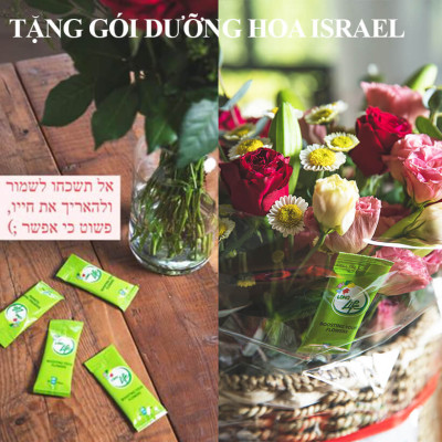 Bột Cắm Hoa ISRAEL (Combo 50 gói dưỡng hoa), Hiệu Longlife giữ hoa tươi lâu gấp 2 lần và 14 ngày không thay nước mới