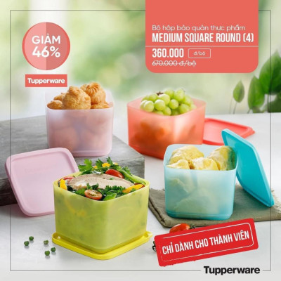 Bộ Hộp Tupperware Bảo Quản Thực Phẩm Ngăn Mát Medium Square Round 1L (04 Hộp)