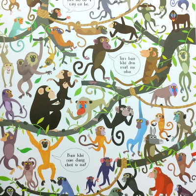 Tinh Mắt Bắt Hình – Sở Thú