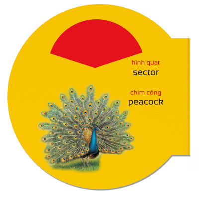 Picture Dictionary - Từ điển bằng hình - Hình dạng – Shapes