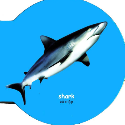 Từ Điển Anh - Việt Bằng Hình: Sea Animals - Động Vật Biển