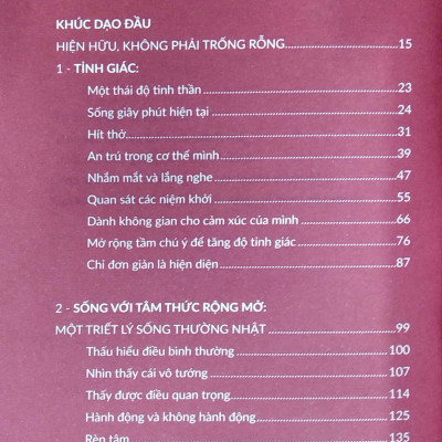 Thiền Định Mỗi Ngày - Một Cẩm Nang Nhỏ Giúp Luôn Sống Trong Tỉnh Thức