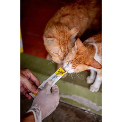 Súp thưởng chức năng VF Core bổ sung Lysine cho mèo gói 12g