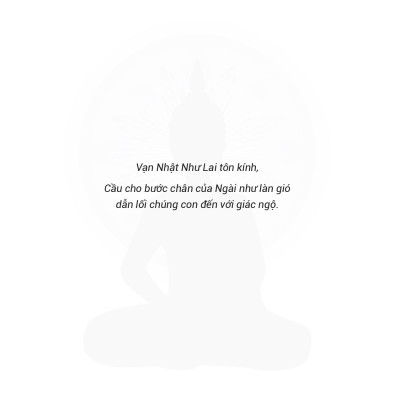 Thiền Trong Chuyển Động