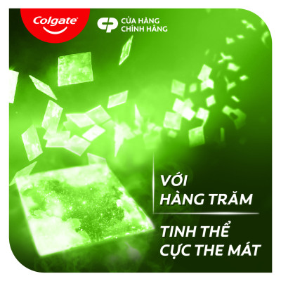 Bộ đôi kem đánh răng Maxfresh Trà xanh 173g