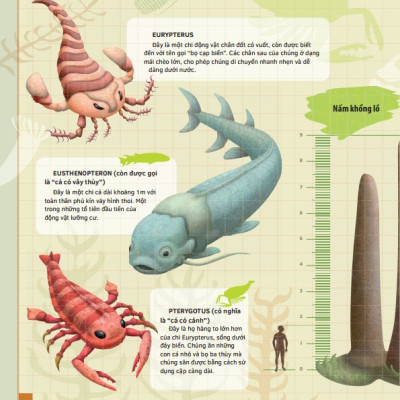 Sách thiếu nhi - Theo Dòng Thời Gian - Thời Tiền Sử (Bìa cứng)