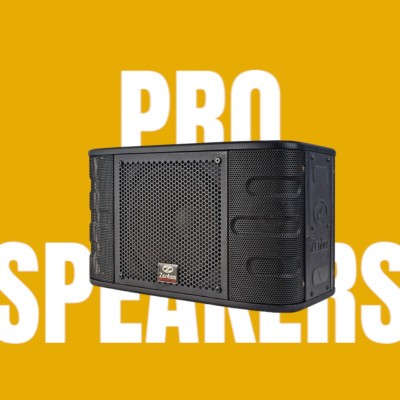 Loa Karaoke gia đình Zenbos QZ-5 Bass 25 cm, 3 đường tiếng(Hàng Chính Hãng)