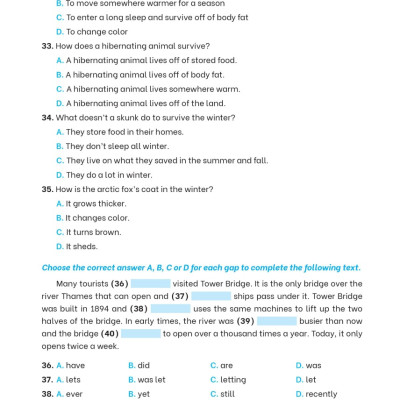 Giải Thích Và Ôn Luyện Chuyên Đề Tiếng Anh Thi Vào Lớp 6 Trường THCS Chất Lượng Cao - MEGA