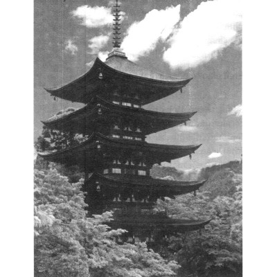 Dẫn Luận Về Phật Giáo (Tái Bản)