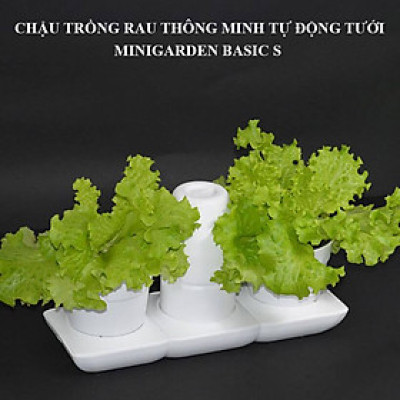 Chậu trồng rau sạch tự động tưới nước và tự chăm sóc rau tại nhà trong 2 tháng Minigarden Basic S (1 bộ gồm 2 chậu S, 1 khay hứng nước, 1 bình chứa nước và phân)