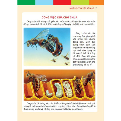 Sách - Những Con Vật Bé Nhỏ - Bìa Cứng - Minh Thắng