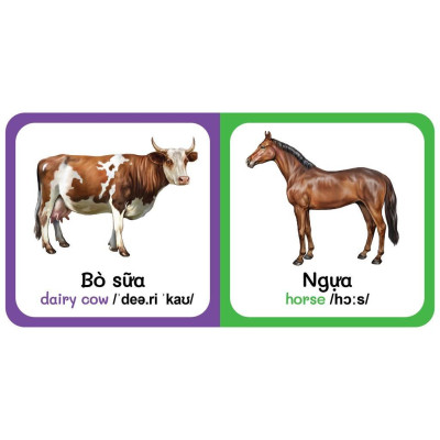 Sách - Từ Điển Bằng Hình Đầu Tiên Của Bé Từ 0-6 tuổi - Song Ngữ Anh Việt - Combo 9 Cuốn - Việt Thư