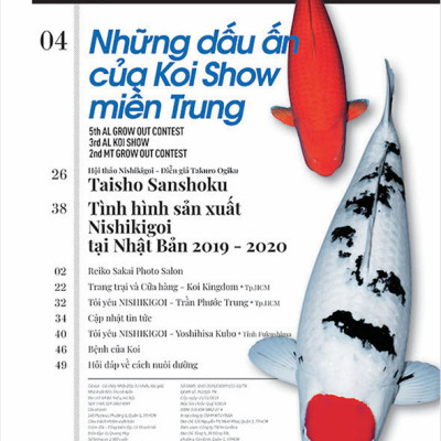 Cá Koi Vietnam - Tập 3