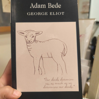 Sách - Adam Bede (Wordsworth Classics) by George Eliot