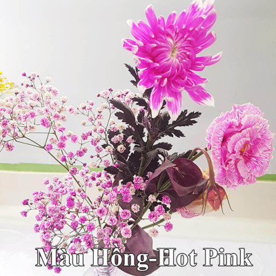 Nước Nhuộm Hoa Tươi Màu Hồng (Set 2 Chai) theo công nghệ Israel Color Sodium For Fresh Flowers giúp nhuộm đổi màu hoa cắt cành thành màu hồng đậm Pink
