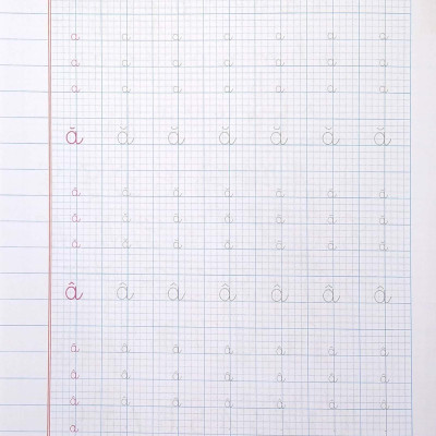 Vở Ô Ly Tập Viết - Mẫu Chữ Cỡ Nhỏ - Theo Chuẩn Chương Trình Sách Giáo Khoa Mới - Chân Trời Sáng Tạo