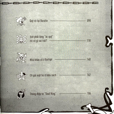 Tiểu Thuyết One Piece - Chuyện Chưa Kể Về Băng Mũ Rơm