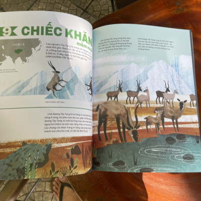 23 SẢN PHẨM ĐẨY CÁC LOÀI SINH VẬT ĐẾN BỜ VỰC TUYỆT CHỦNG – từ điển động vật quý hiếm – minh họa màu toàn bộ - ấn bản kỷ niệm 65 năm thành lập NXB Kim Đồng