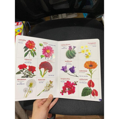 Sách - 5 cuốn Bách Khoa Bằng Hình Đầu Tiên Cho Bé Theo Chủ Đề - Song ngữ Anh Việt - Quét mã QR nghe đọc