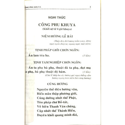 Sách - Kinh Nhật Tụng Bìa Rồng ( Thích Đăng Quang) - Anan Books