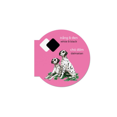 Picture Dictionary - Từ Điển Bằng Hình - Colours - Màu Sắc - Bìa Cứng