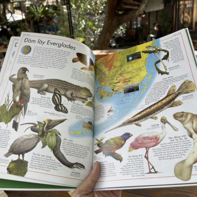 (Bìa cứng, in màu toàn bộ) A.TLAS CÁC LOÀI CHIM và A.TLAS ĐỘNG VẬT- Barbara Taylor – Lê Thu Hằng dịch - Đông A - NXB Dân Trí