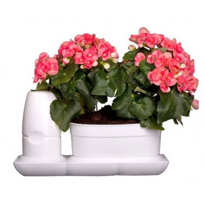 2 SET Trồng Rau Tự Dưỡng cao cấp Nhập Khẩu Bồ Đào Nha Basic dành cho người bận rộn không có thời gian tưới rau hàng ngày 