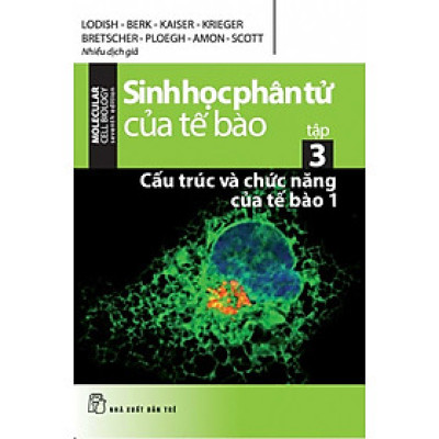 Sinh Học Phân Tử Của Tế Bào (Tập 3): Cấu Trúc Và Chức Năng Của Tế Bào