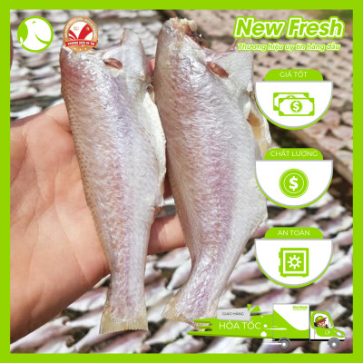 Cá Đù Một Nắng - Túi 500Gr