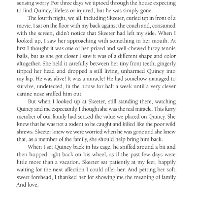 Chicken Soup For The Soul: The Dog Did What?: 101 Amazing Stories Of Magical Moments, Miracles And... Mayhem