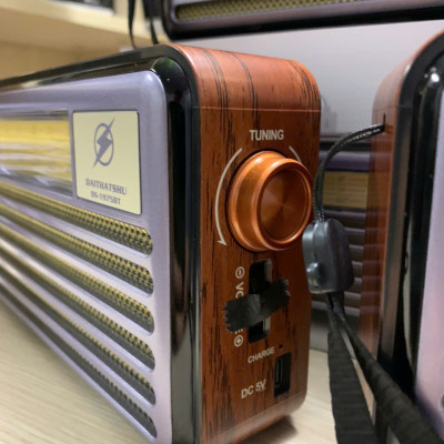 Đài Radio FM DS-1975BT Nhật-Kiểu Dáng Cổ Điển - Loa Bluetooth 5.4 Hỗ Trợ USB, Thẻ nhớ, Cáp sạc typeC - Hàng chính hãng