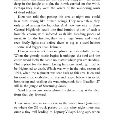 The Sorrow Of War (Paperback)