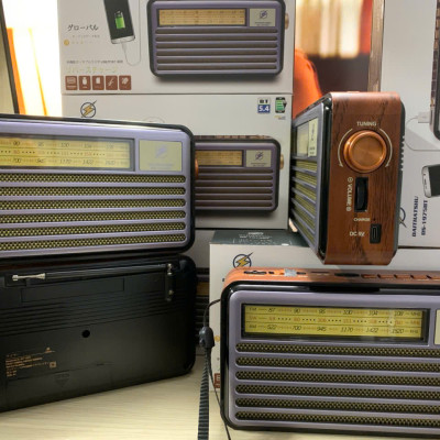 Đài Radio FM DS-1975BT Nhật-Kiểu Dáng Cổ Điển - Loa Bluetooth 5.4 Hỗ Trợ USB, Thẻ nhớ, Cáp sạc typeC - Hàng chính hãng