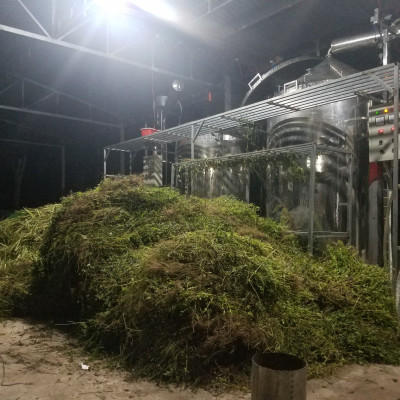 Tinh dầu Khuynh Diệp (bạch đàn) 10ml nguyên chất từ thiên nhiên - Mộc Mây