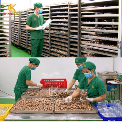 Tỏi đen Eco cô đơn bóc vỏ Hộp 250g