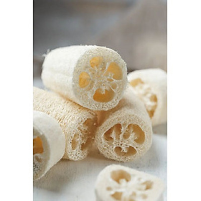 Xơ mướp tự nhiên ECOHUB dùng cho phòng tắm, phòng bếp