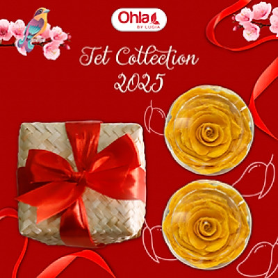 SET QUÀ TẾT OHLA - SUM HỌP